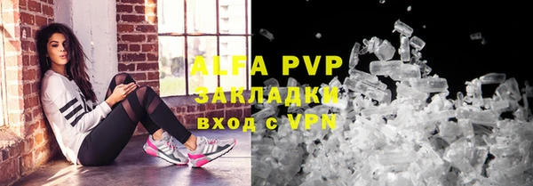 гашик Алексин