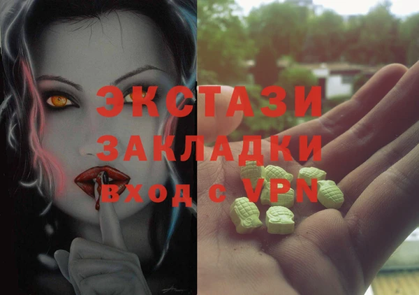 гашик Алексин